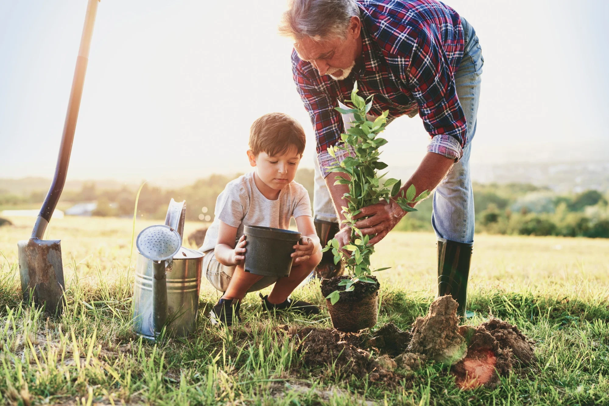 The Best Time to Plant a Tree