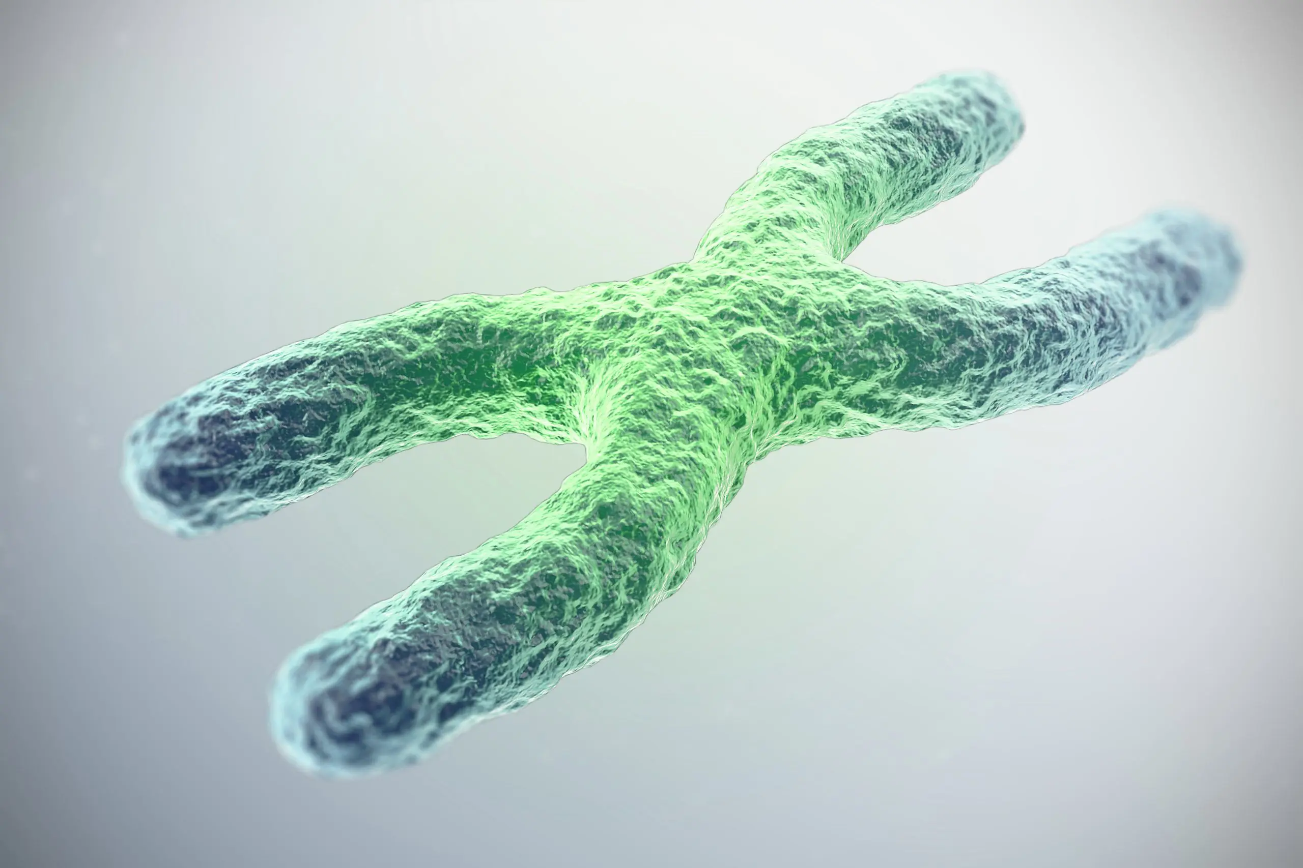 The Long and Short of Telomeres