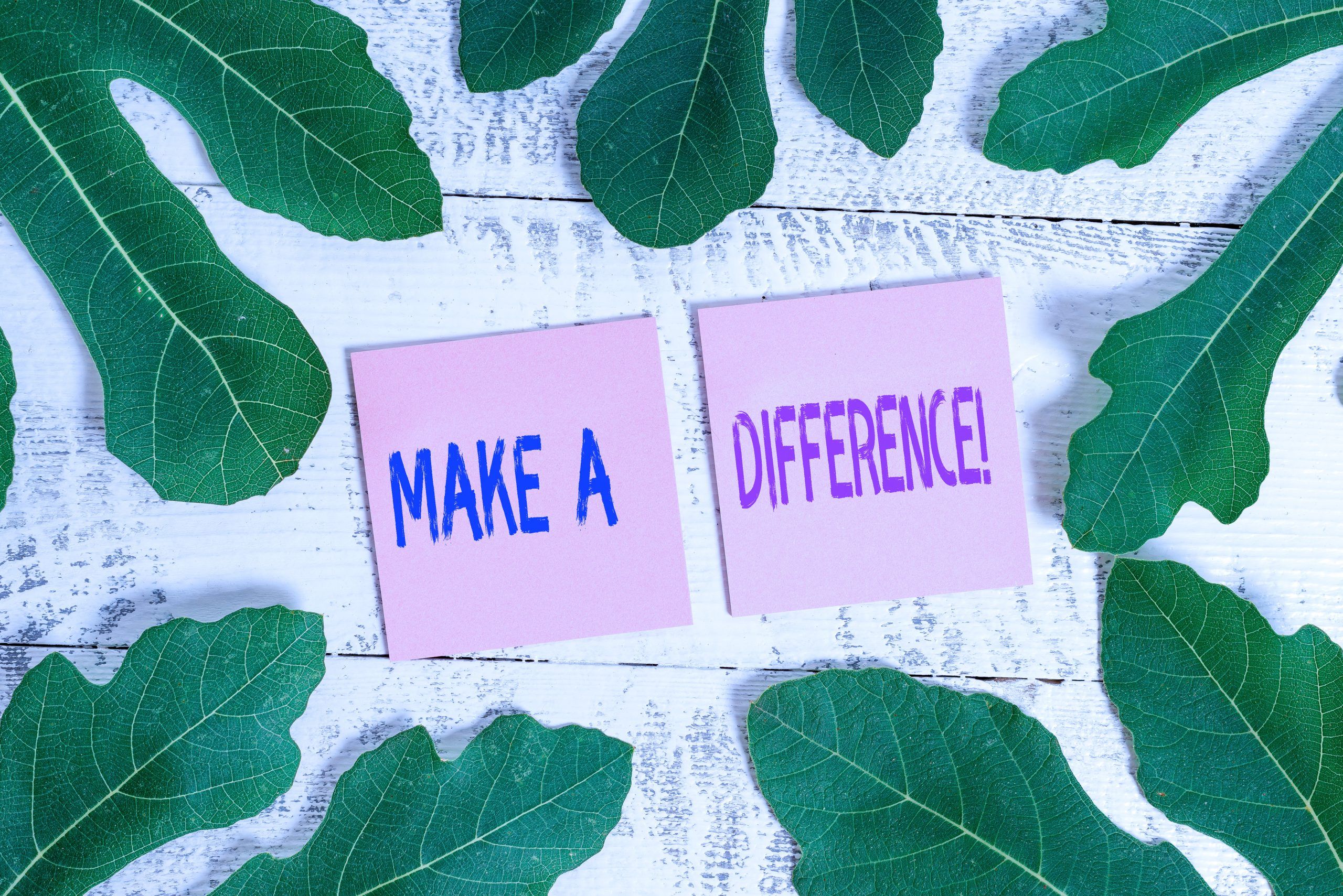 service-above-self.jpeg Service Above Self