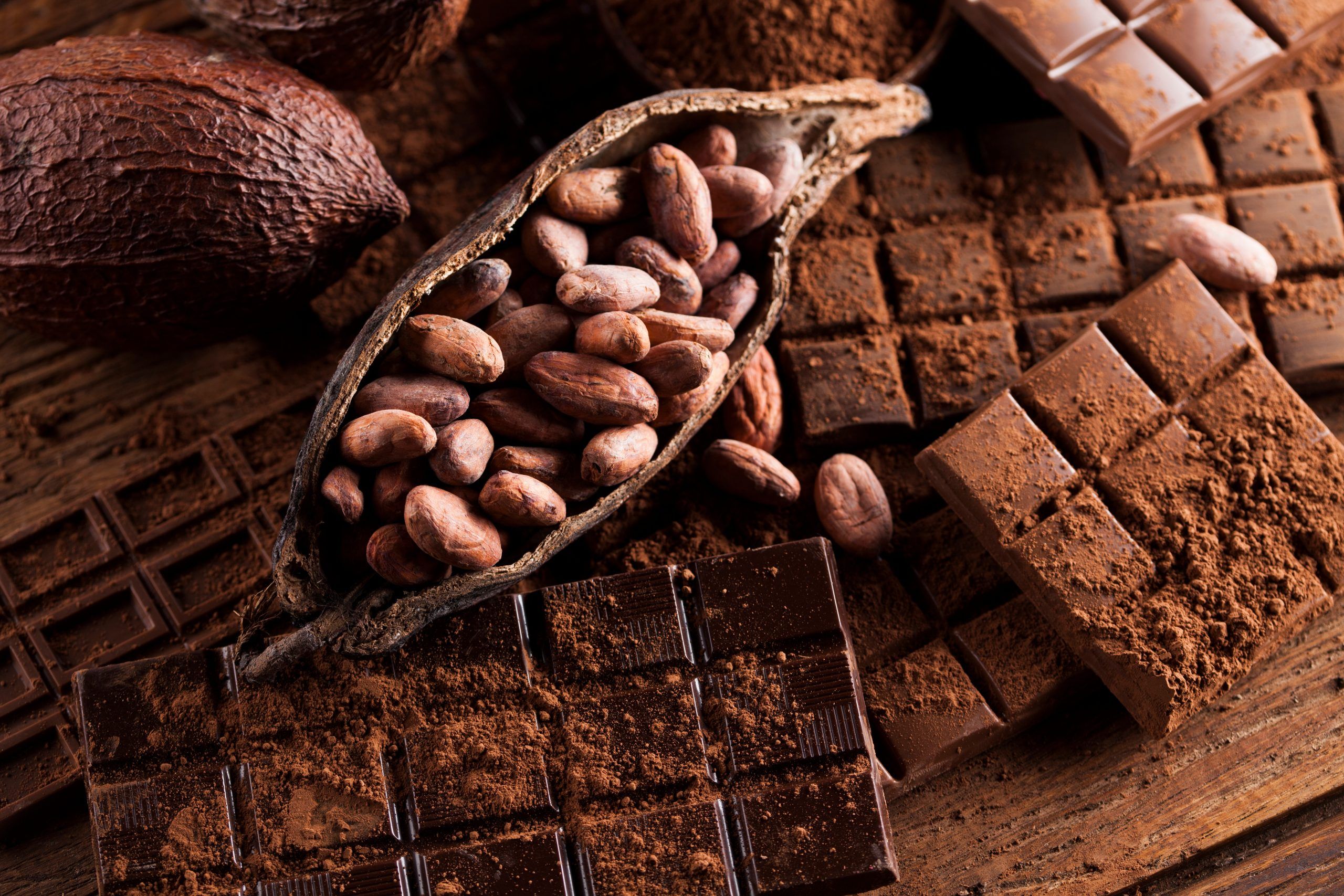 For the Love of Chocolate