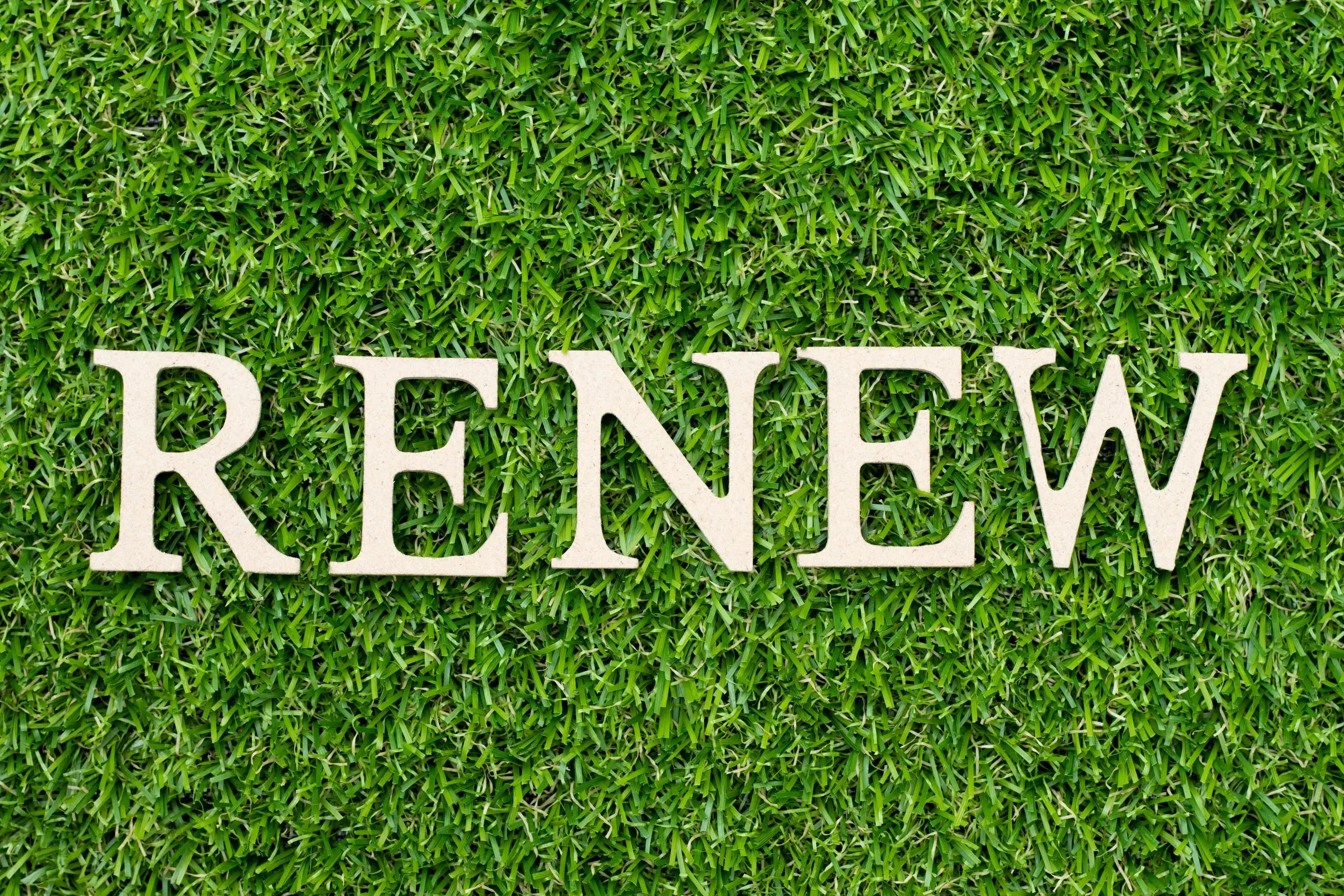 Renew Yourself