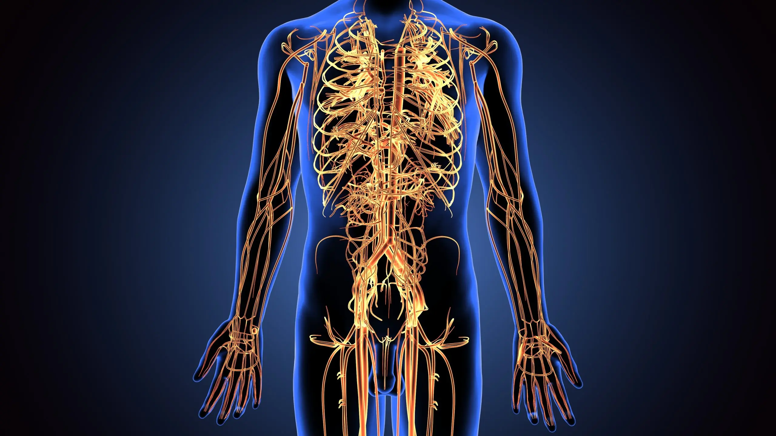 The First System That Develops