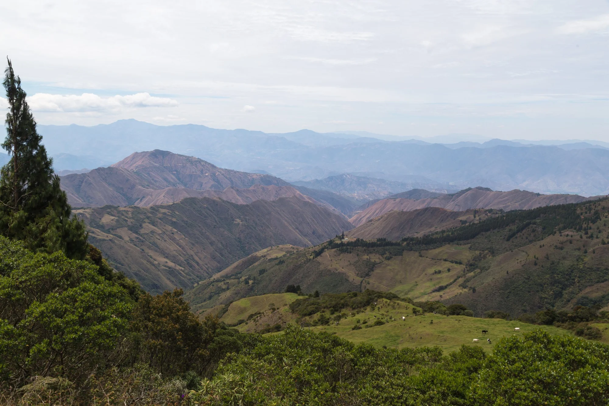 Valley of Longevity