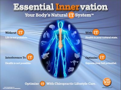 Your Natural I.T. System