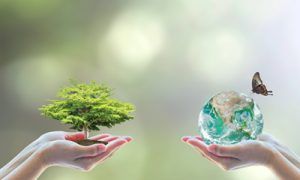 using-your-money-to-make-a-difference.jpg Using Your Money to Make a Difference