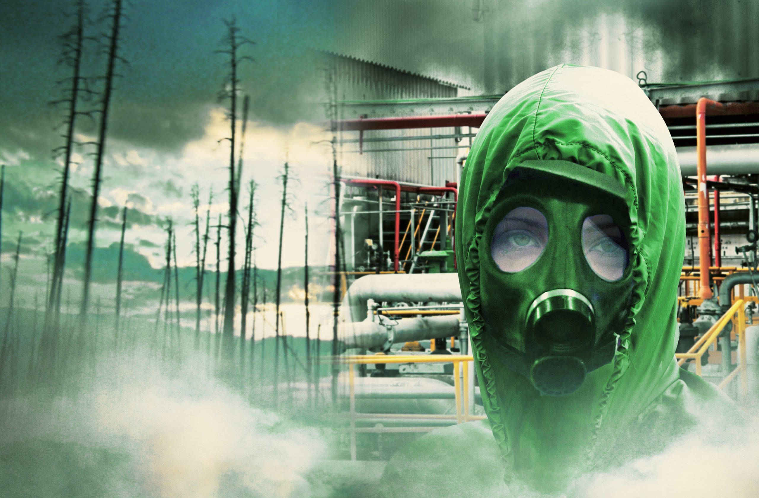 Eliminating Waste from Your Body